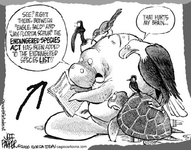 Endangered Species Act