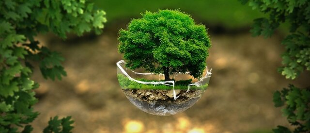 el origen ecologismo científico