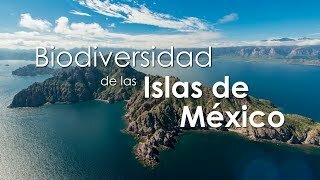 la biodiversidad de las islas