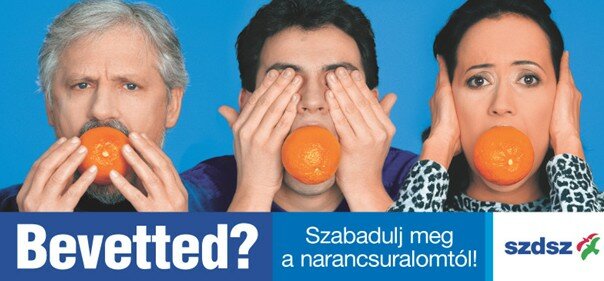 Magyar országgyűlési választás