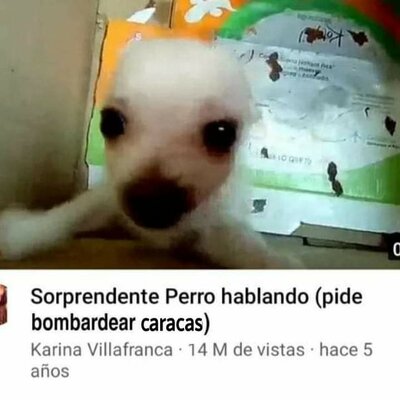 Timeline: Redes sociales