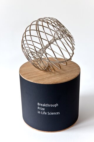 Va rebre el Premi Especial d'Avances en Física Fonamental