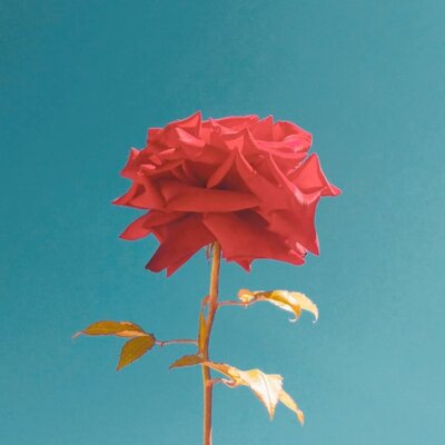 Timeline: 15 invents