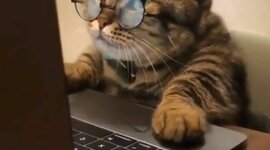 Timeline: COMPUTER'S EVOLUTION