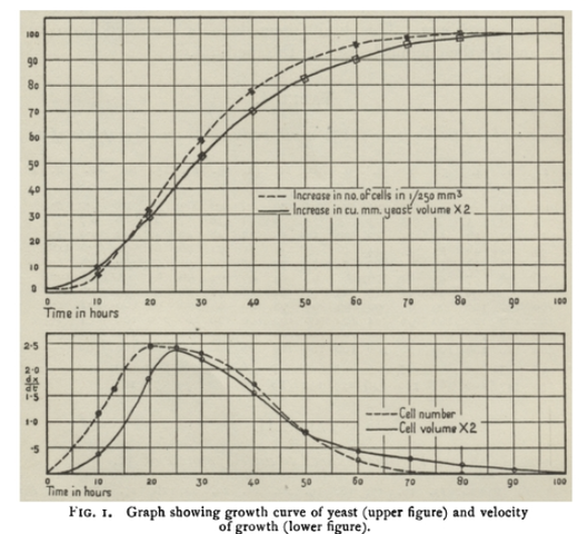 Como a levedura cresce
