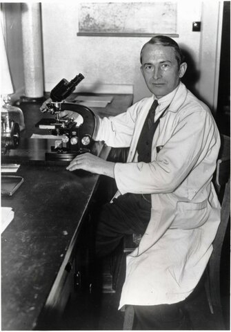 Cruzamento artificial em levedura