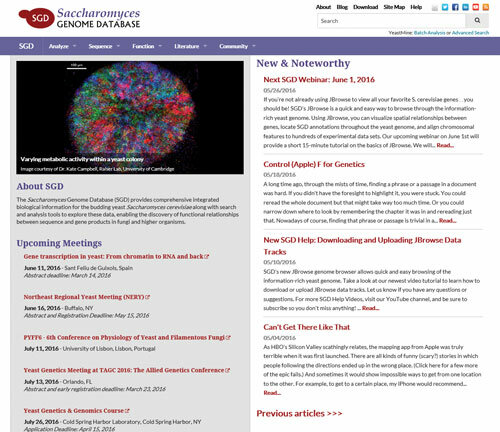 Saccharomyces Genoma Database