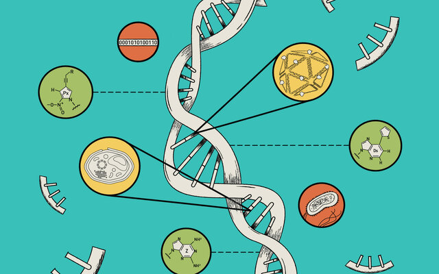 Plataforma para engenharia automatizada em escala de genoma em levedura