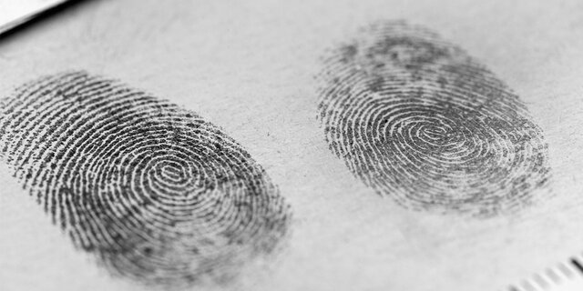 Decided on my Career Path