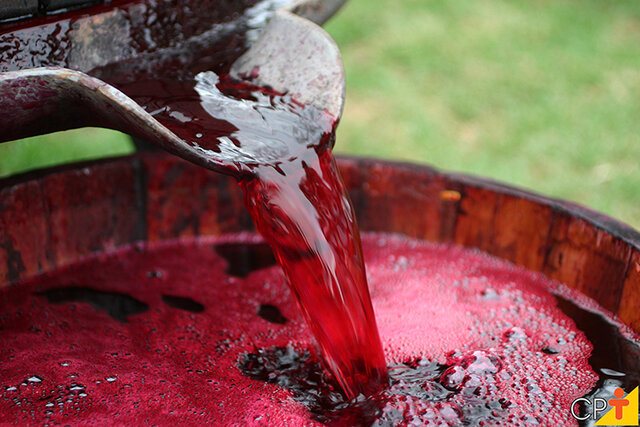 A fermentação é um processo anaeróbio