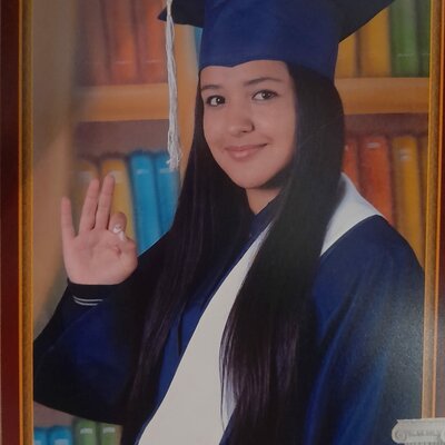 Timeline: Logros y objetivos