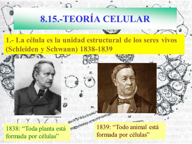 Teoria Celular: Matthias Jakob Schleiden y Theodor Schwann