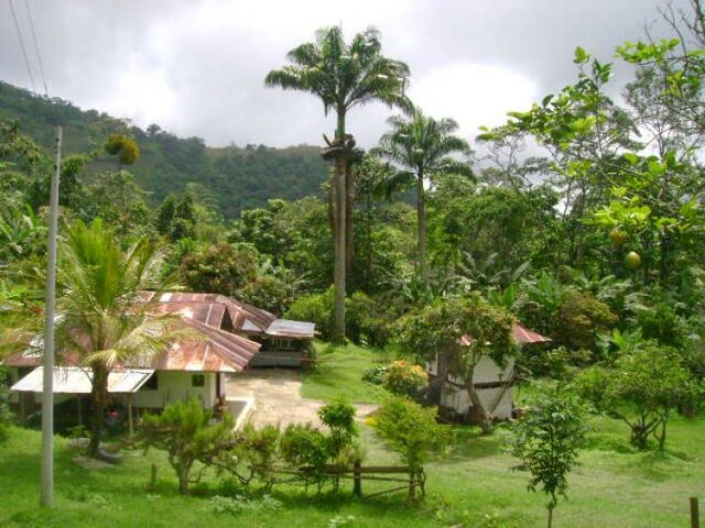 Compra de finca en el campo