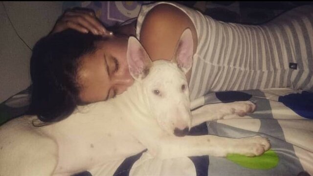 CONOCÍ A SIMONA, MI MASCOTA