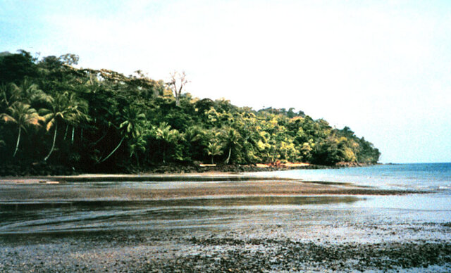Viaje a Isla Gorgona