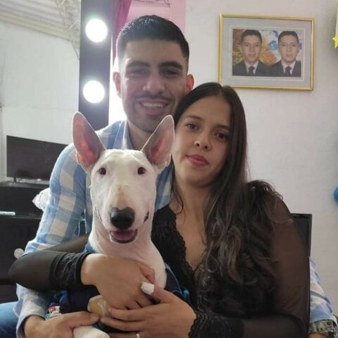 LA LLEGADA DE MI PAREJA