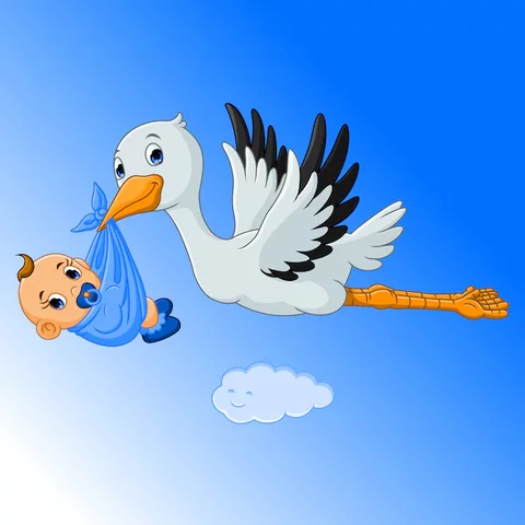 ¿Dónde comenzó todo?