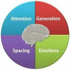 David Rock's AGES Theory