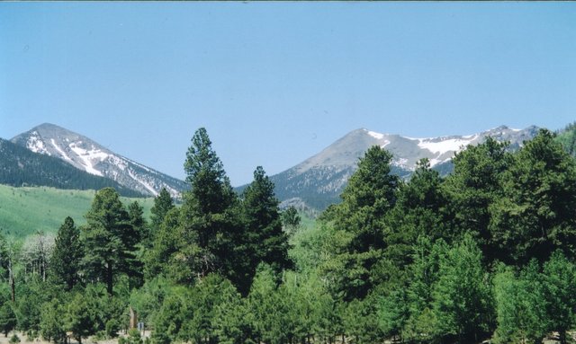National Forest Management Act, (Pub.L. 94-588)