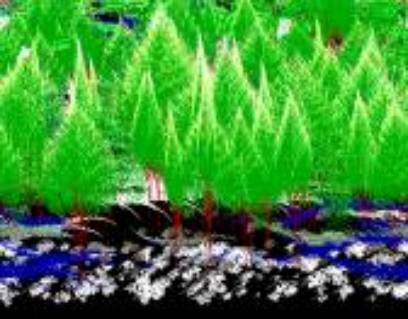 las ecuaciones de la naturaleza