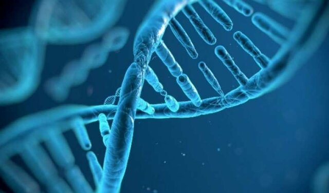 quien descubrió el ADN