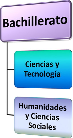 PENSANDO EL CAMINO DE BACHILLERATO