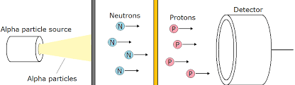Discovery of a neutron