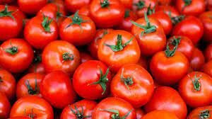 Tomatoes are proven non poisonous