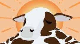 Timeline: Cronología Personal