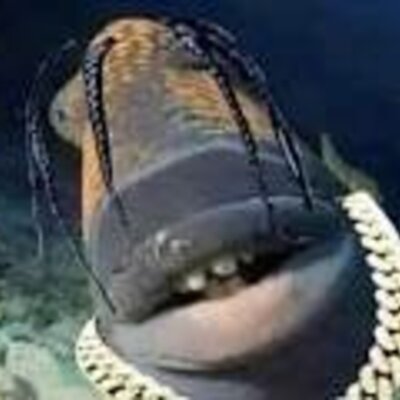 Timeline: Cronologia Personal