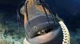 Timeline: Cronologia Personal