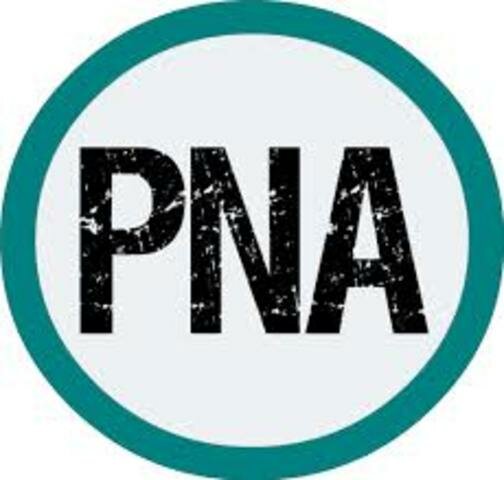 PNA