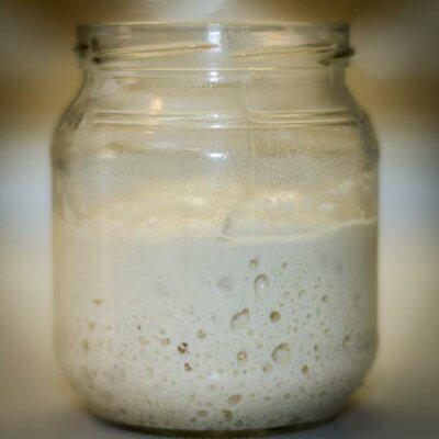 Timeline: A levedura Saccharomyces cerevisiae na antiguidade