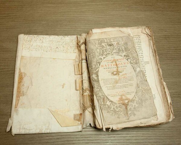 Estatuto de libre comercio