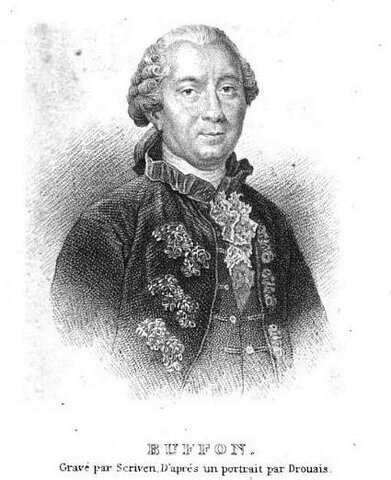 Georges-louis Leclerc Buffon
