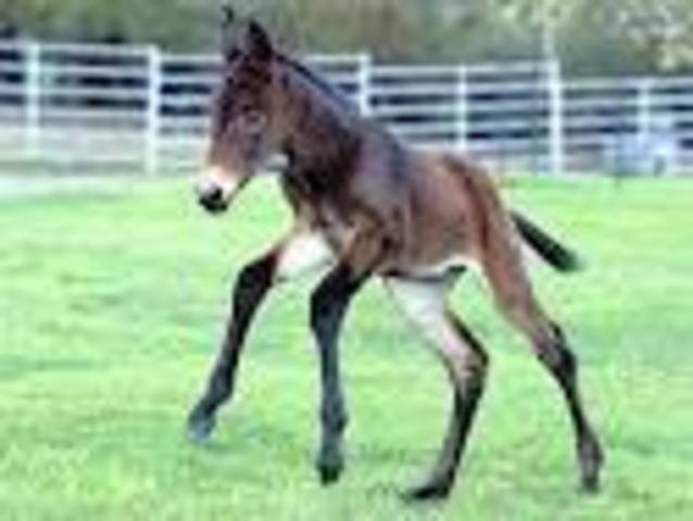 Done in and done for