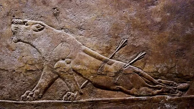 MESOPOTAMIA: La leona herida