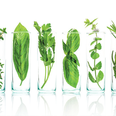 Timeline: La controverse des NBT dans le temps