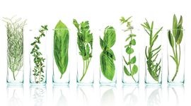 Timeline: La controverse des NBT dans le temps