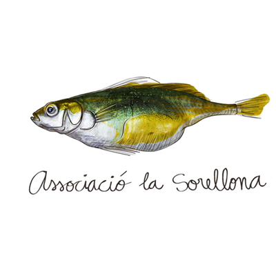 PRIMERS CAMPAMENTS!!!