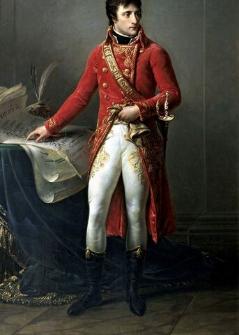 PRIMER CÓNSUL NAPOLEON