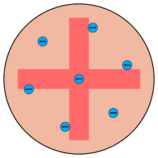 Plum pudding model