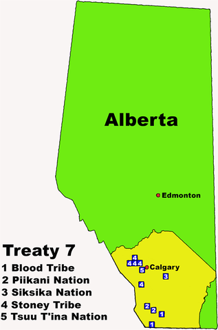 treaty 7
