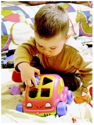 30-36 Months Cognitive Development