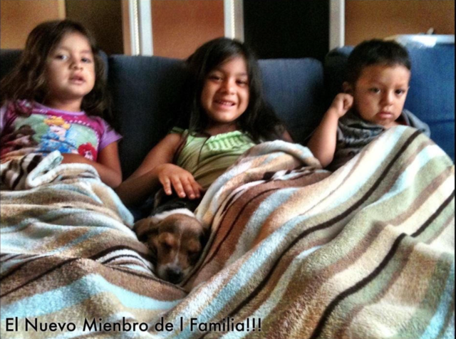 rescaté a mi primer pero: Orejits