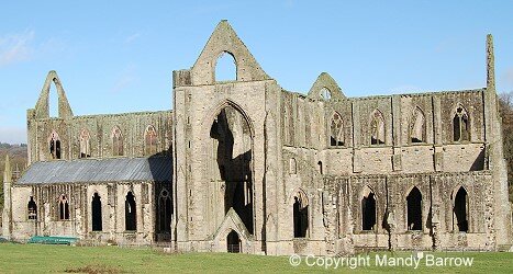 Destruction of small monasteries