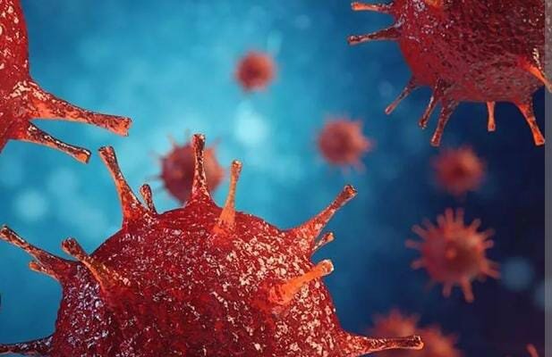 Se identifica El VIH