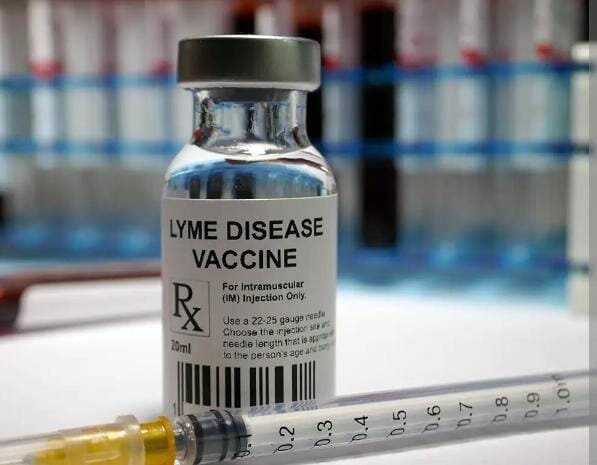 Primera vacuna para la enfermedad de Lyme.