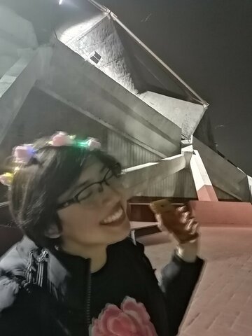 Concierto de Shawn Mendes