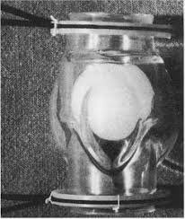 Válvulas cardíacas artificiales